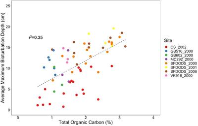 Reshaping perspectives of deep-sea benthic function